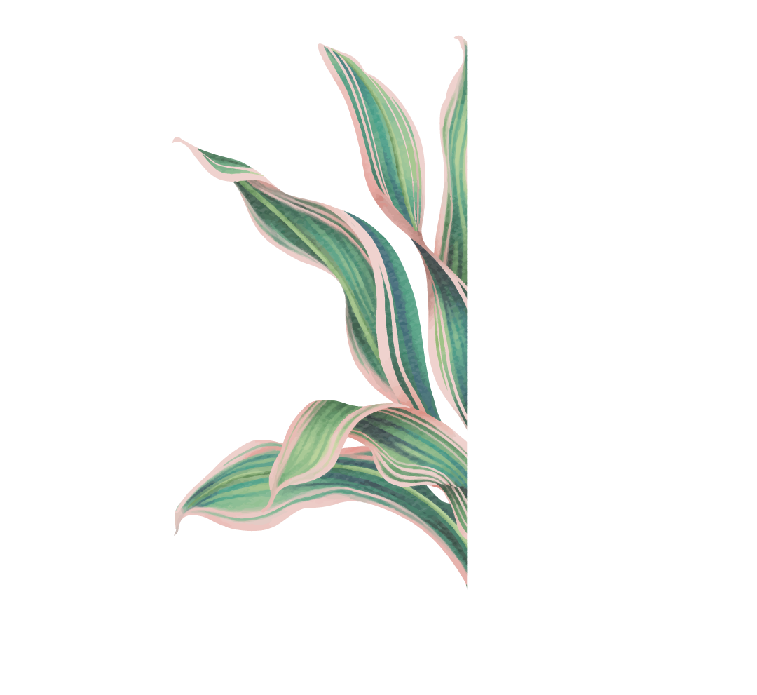 Svg%3E